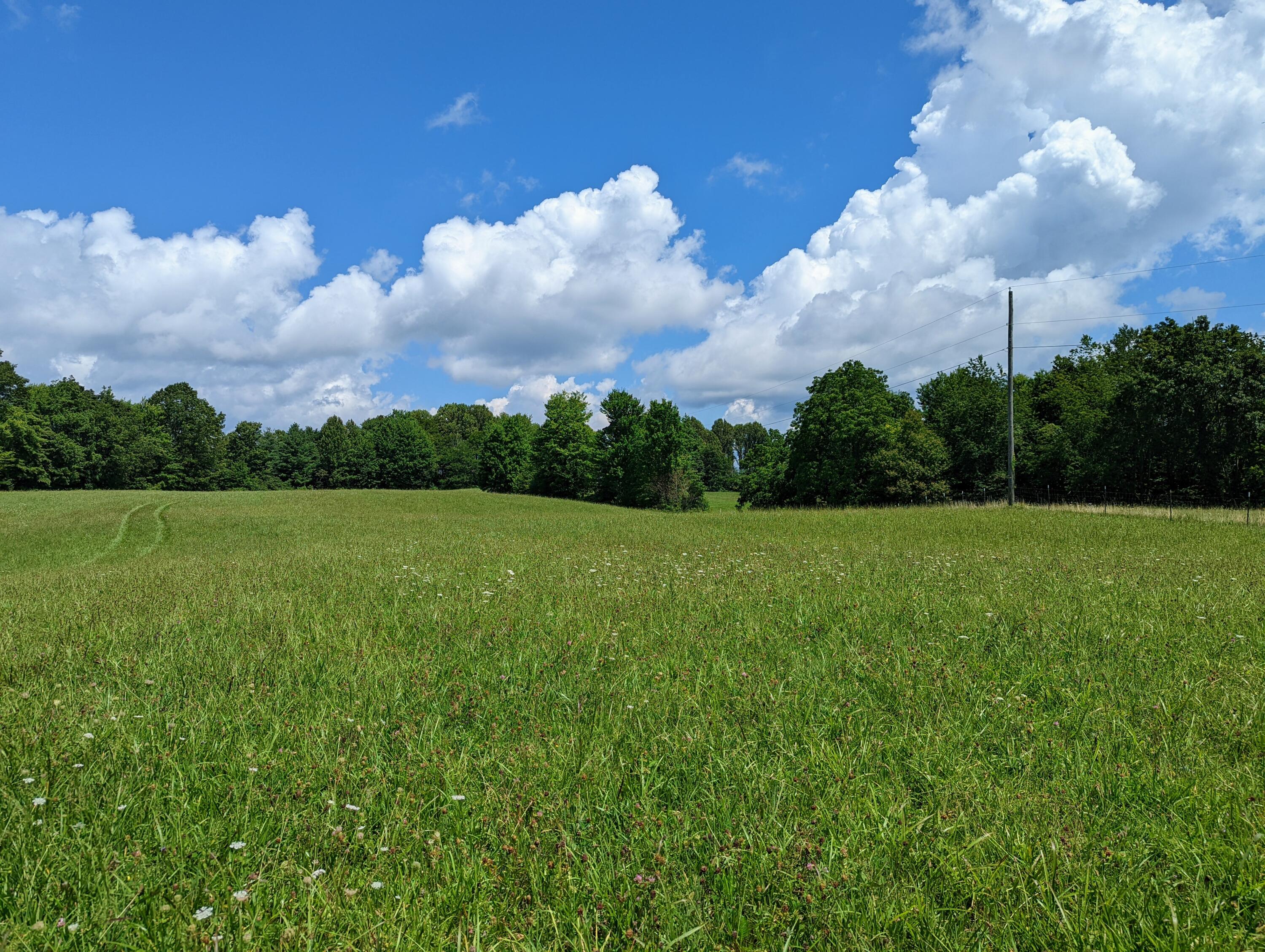 4737 Brushy Ridge Road Nora, VA 24272 - Photo 12 of 51 PXL_20220809_164310941