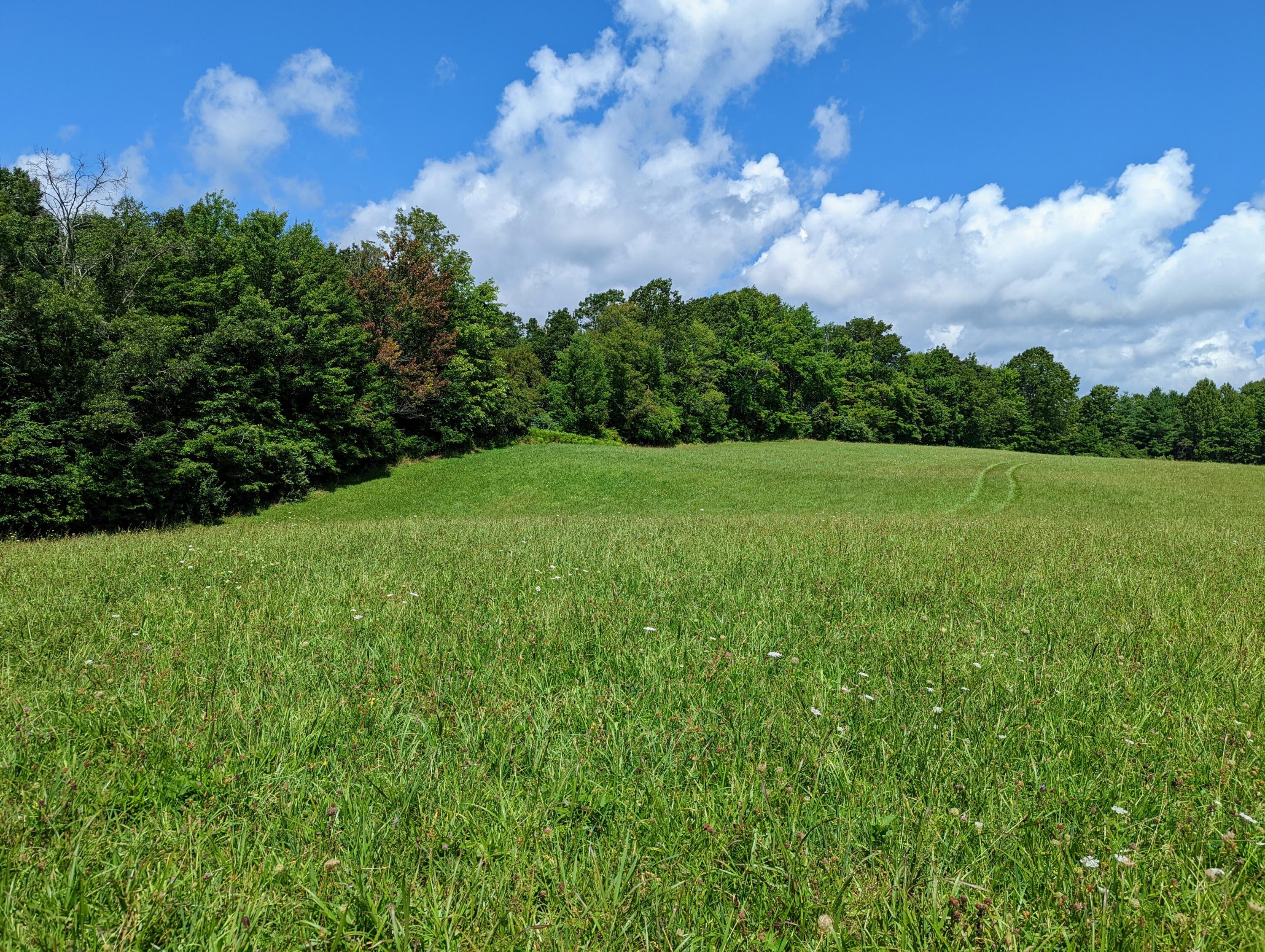 4737 Brushy Ridge Road Nora, VA 24272 - Photo 13 of 51 PXL_20220809_164309054