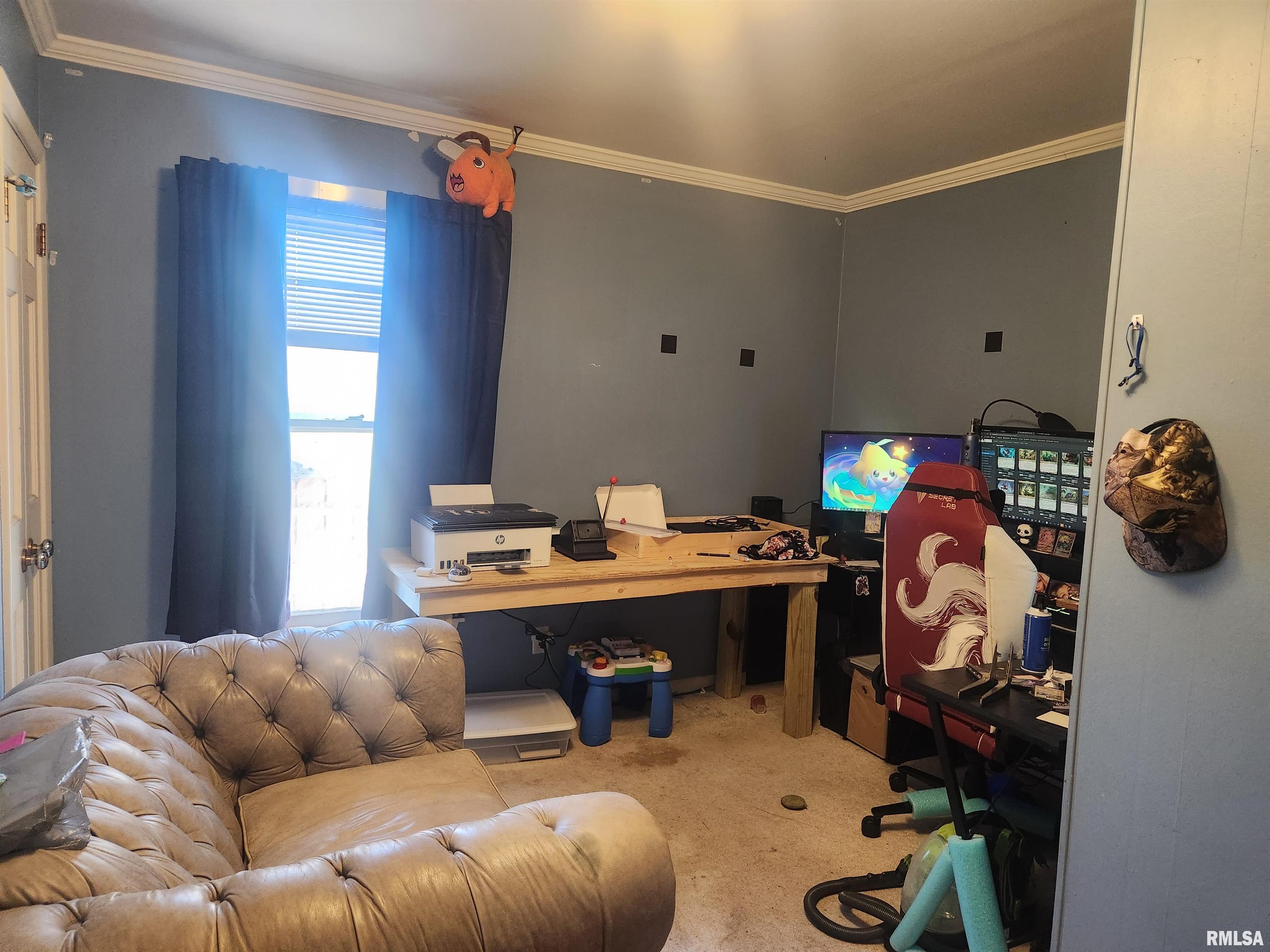 307 South Main Street Pinckneyville, IL 62274 - Photo 19 of 25