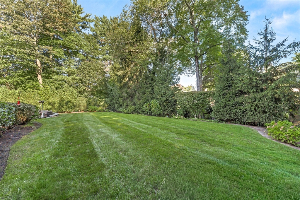 24 Radcliffe Road Wellesley, MA 02482 - Photo 25 of 32