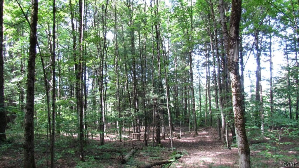 150 Birmingham Road Camden, NY 13316 - Photo 21 of 25 Gallery Image 21