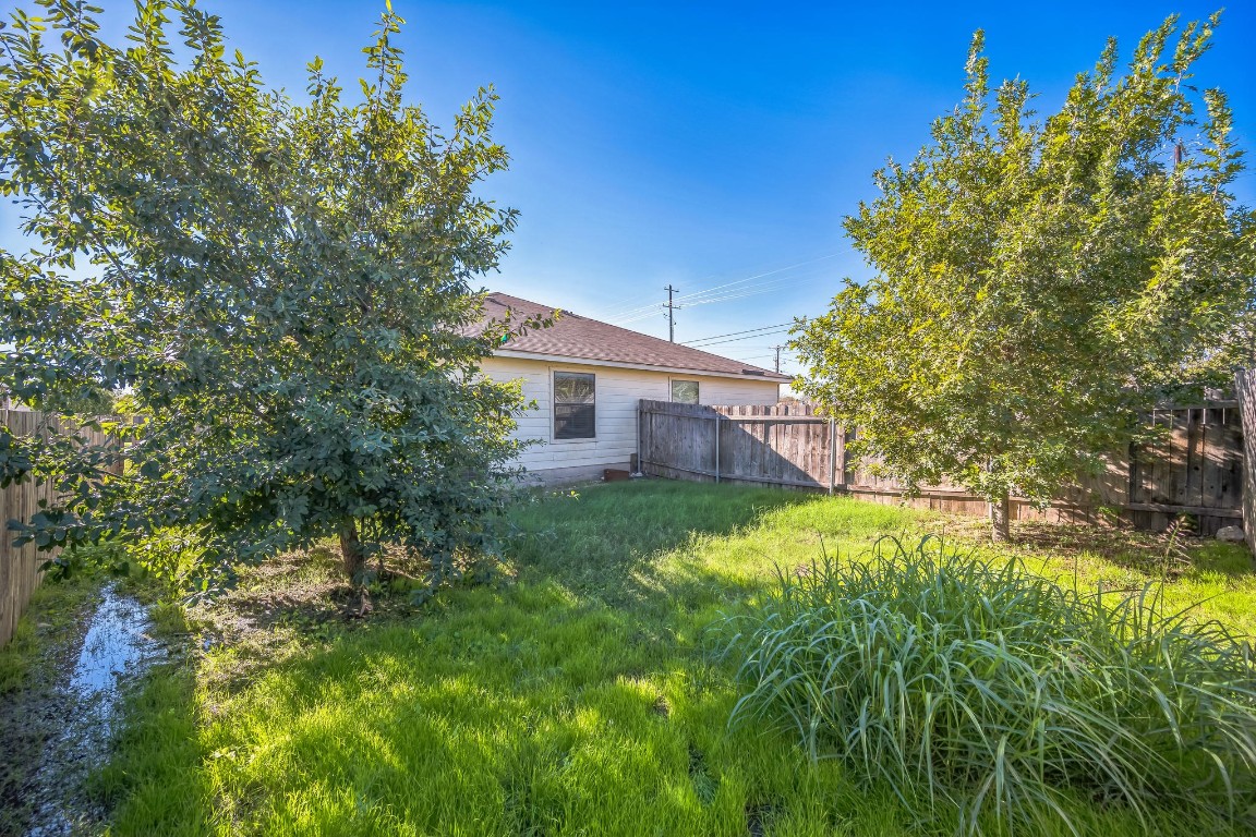 1007 Trail Driver Cove Georgetown, TX 78626 - Photo 6 of 16 a view of a house with a yard
