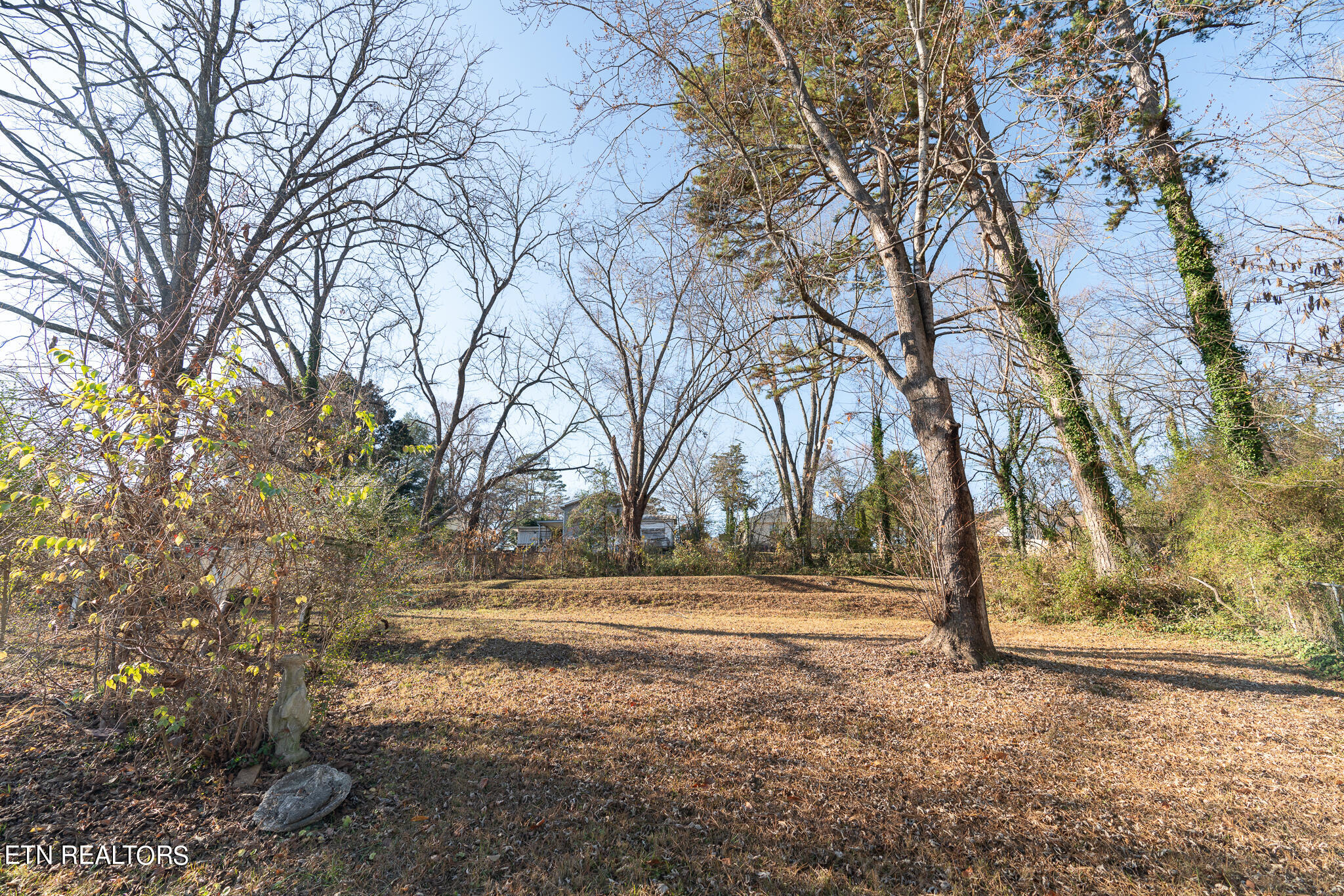 125 Pembroke Road Oak Ridge, TN 37830 - Photo 20 of 20 Backyard 2
