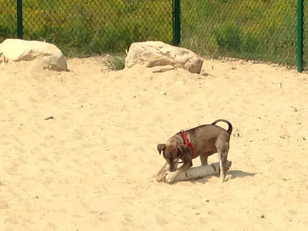 $2,213 | 29 Capron Road, Unit 66, Milford, NH 03055