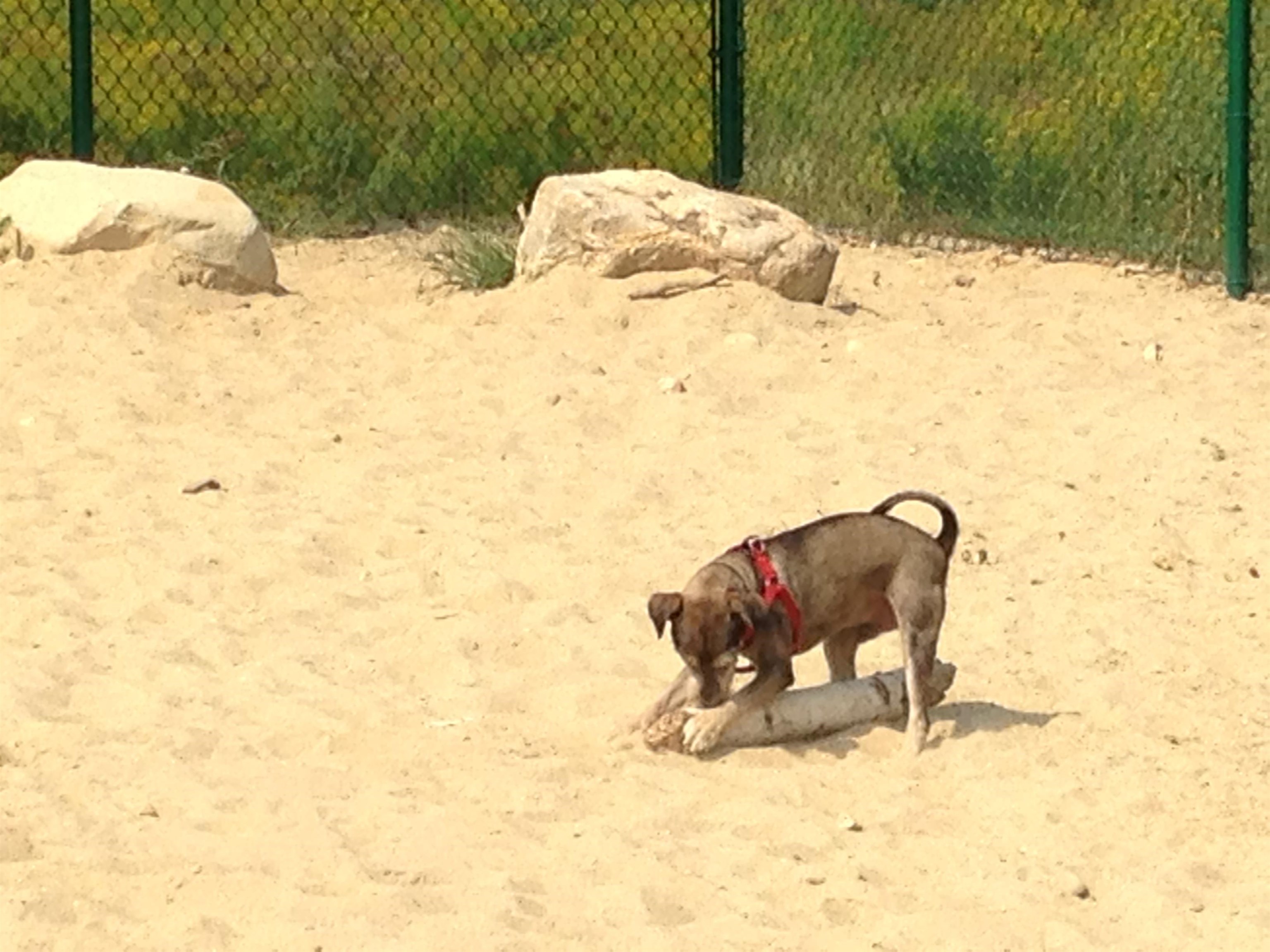 29 Capron Road, Unit 66 Milford, NH 03055 - Photo 34 of 46