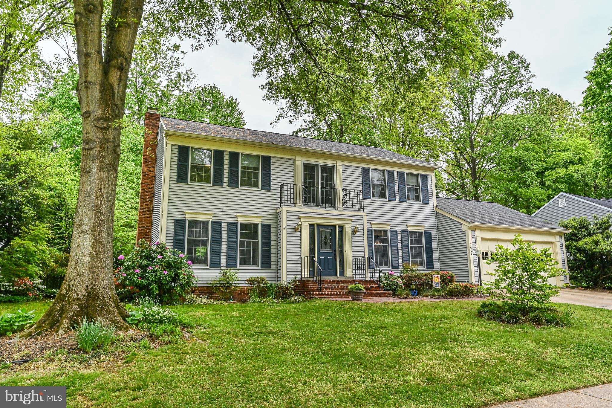 7403 Jenna Road Springfield, VA 22153 - Photo 3 of 68 Gallery Image 3