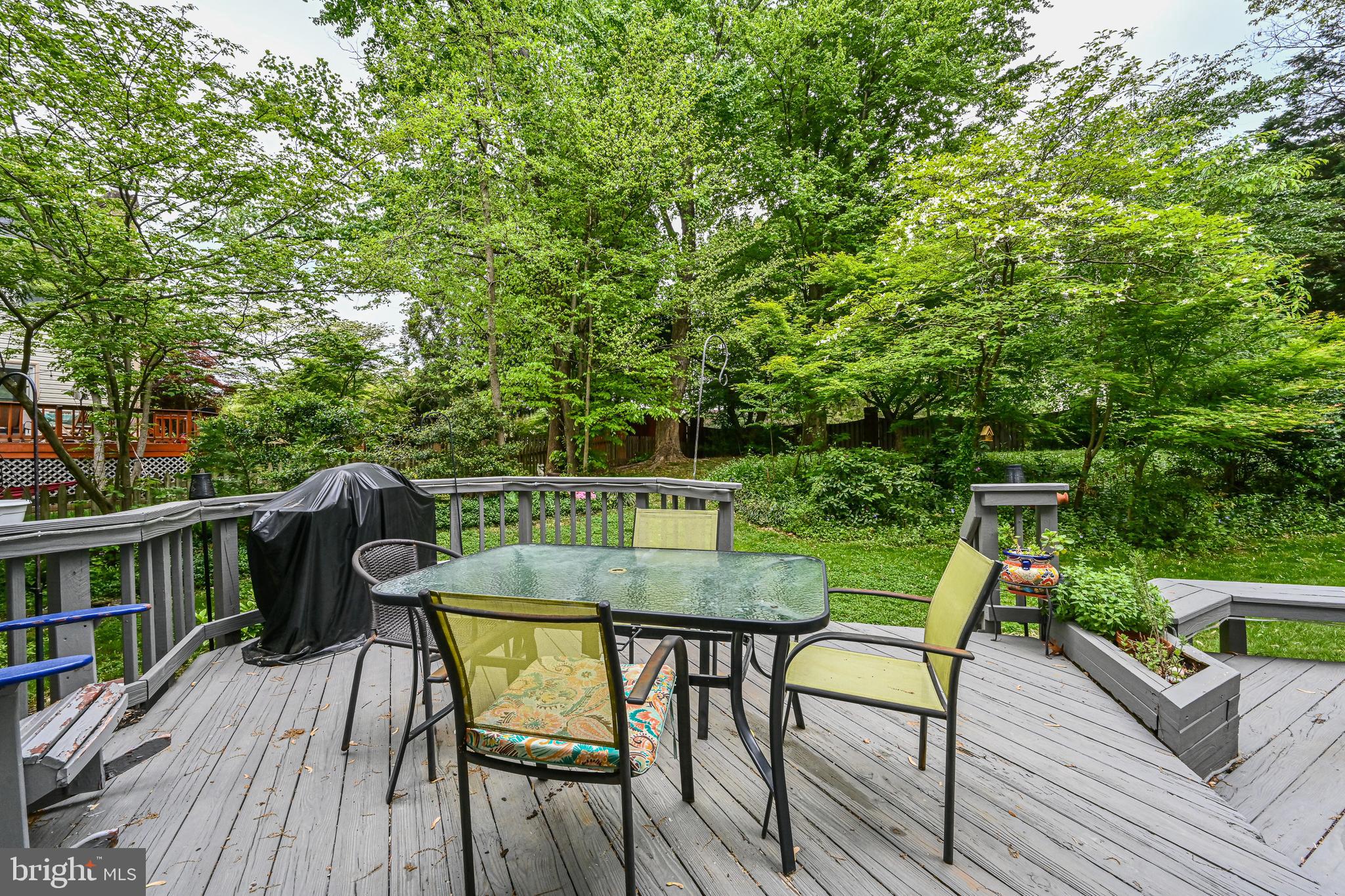 7403 Jenna Road Springfield, VA 22153 - Photo 52 of 68 Gallery Image 52