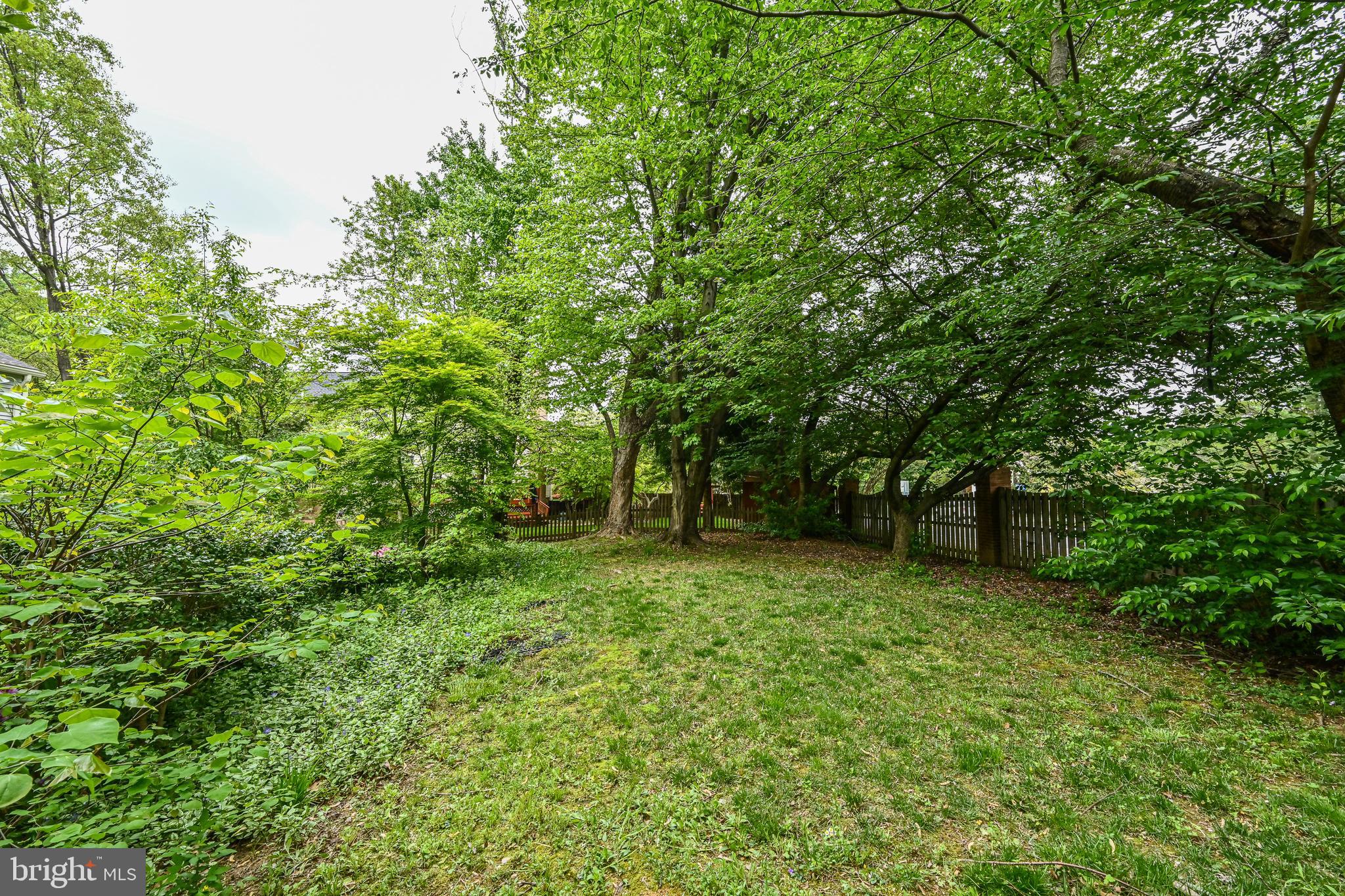 7403 Jenna Road Springfield, VA 22153 - Photo 60 of 68 Gallery Image 60