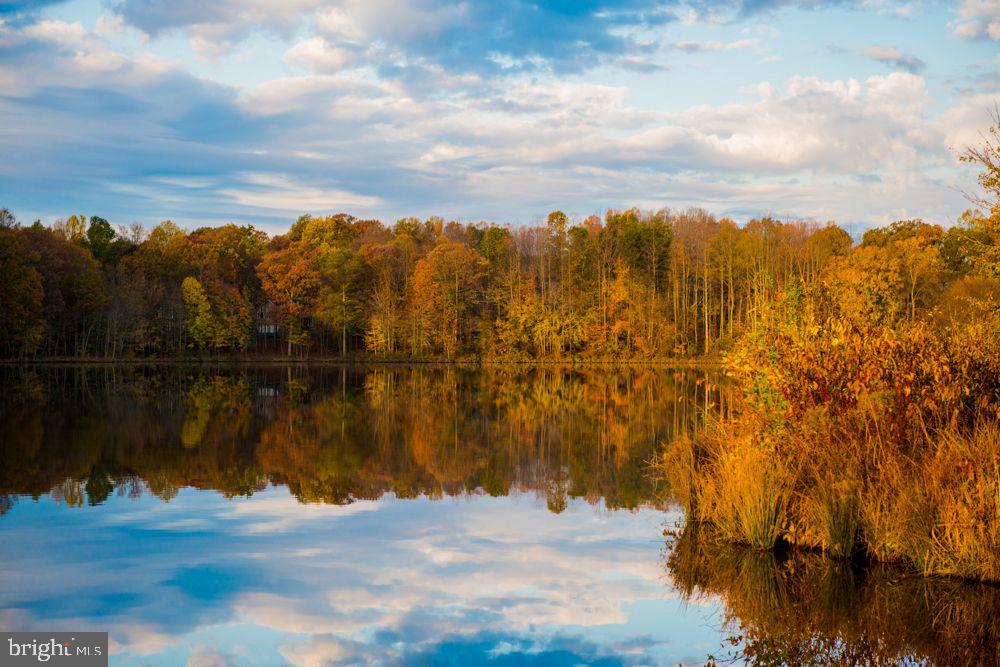 7403 Jenna Road Springfield, VA 22153 - Photo 67 of 68 Huntsman Lake-right across the street