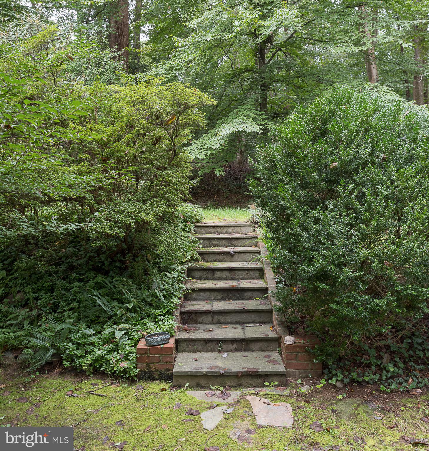 3656 Military Road Arlington, VA 22207 - Photo 22 of 29 Exterior (Rear)