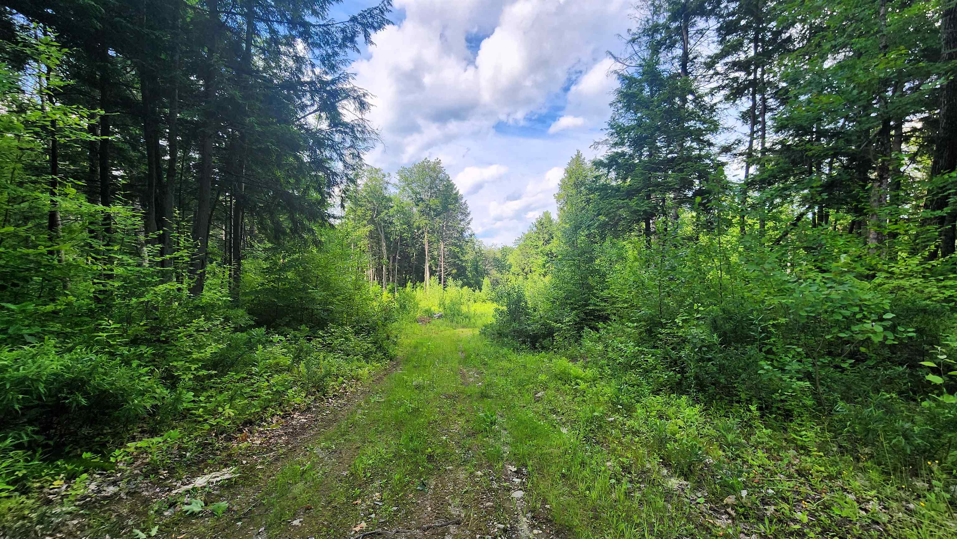 0 Spencer Hollow Road Springfield, VT 05156 - Photo 13 of 19
