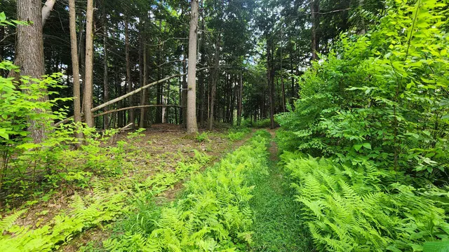 $224,000 | 0 Spencer Hollow Road, Springfield, VT 05156