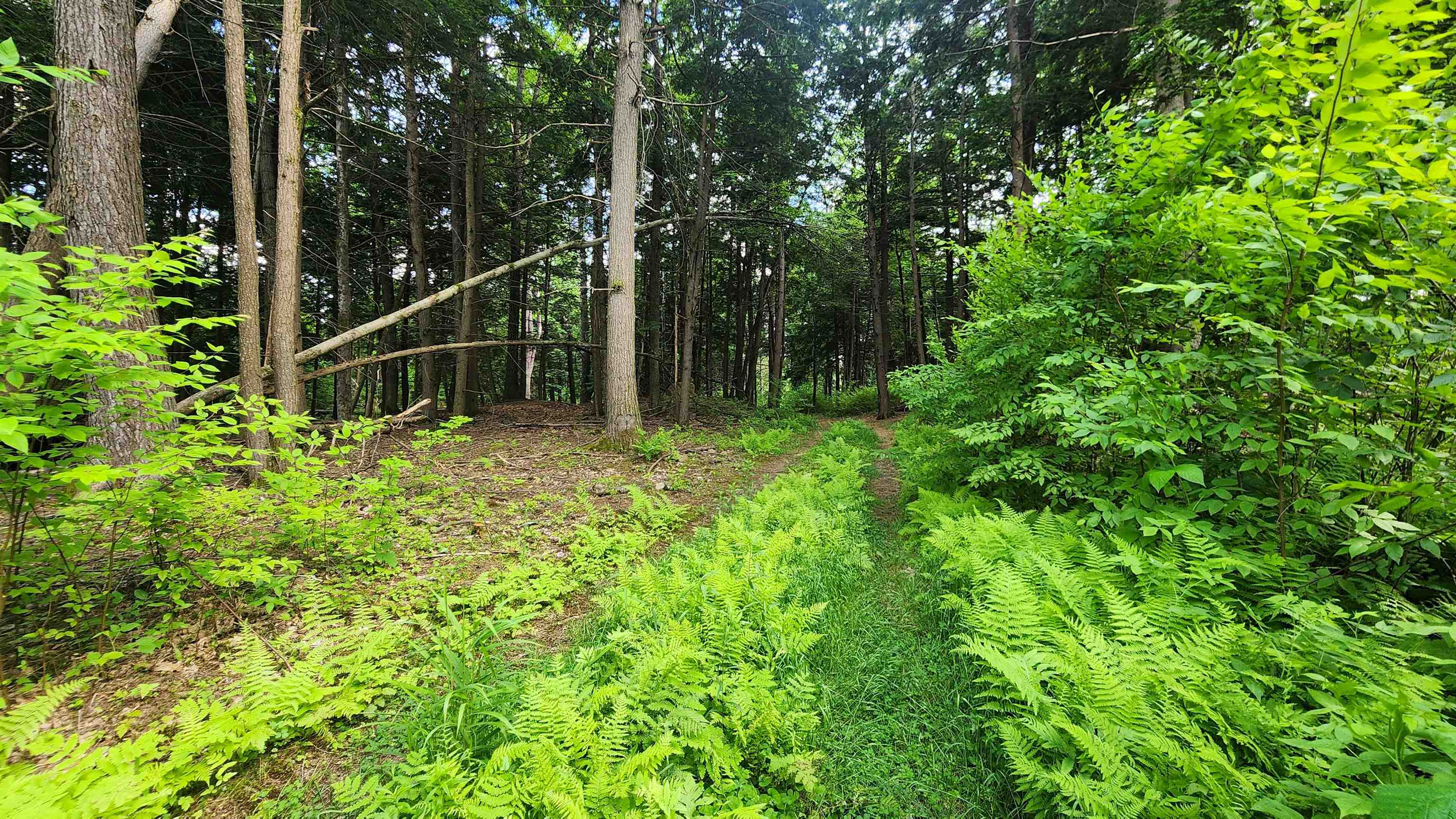0 Spencer Hollow Road Springfield, VT 05156 - Photo 14 of 19