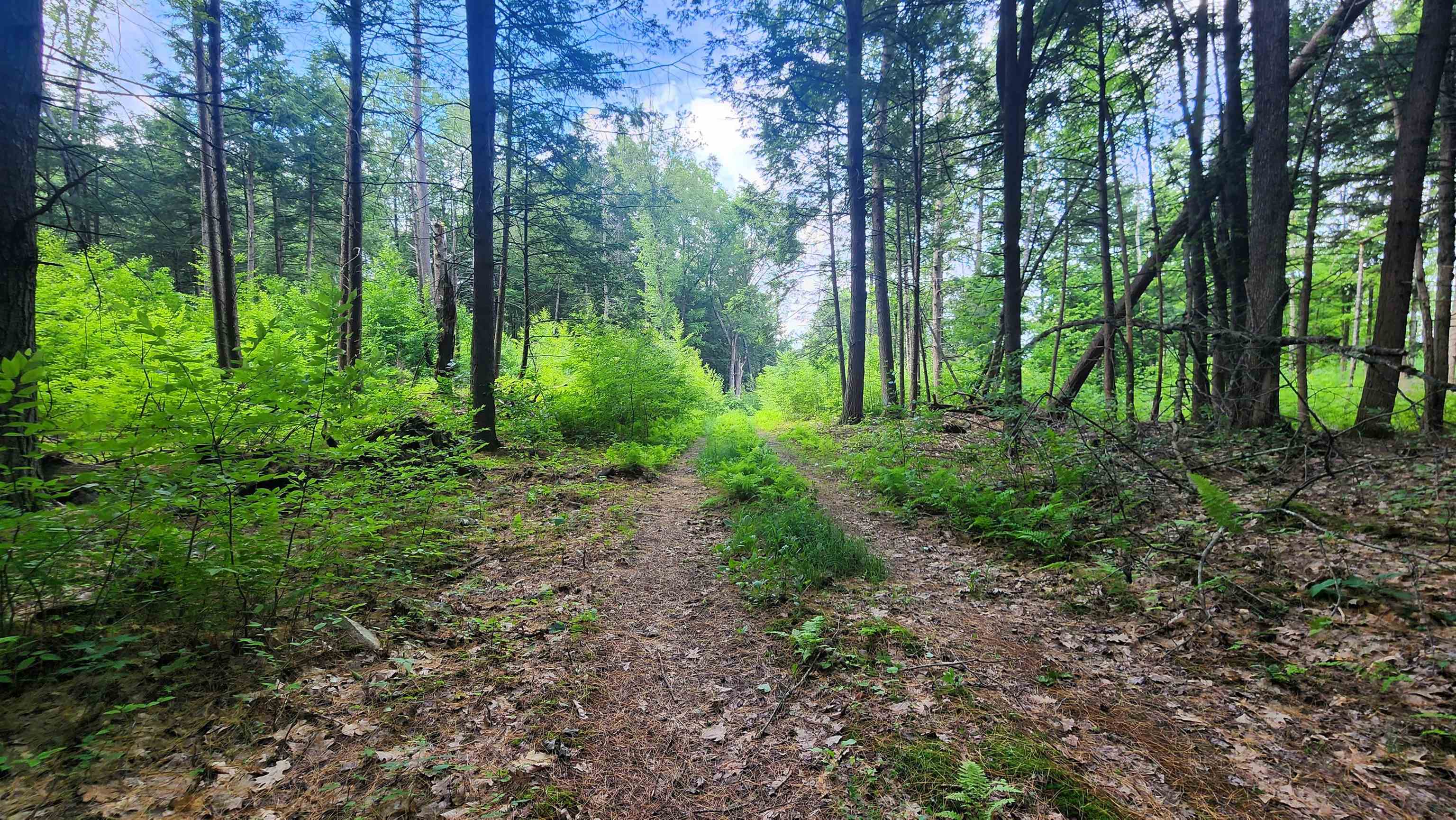 0 Spencer Hollow Road Springfield, VT 05156 - Photo 15 of 19