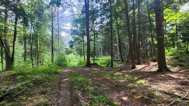 $224,000 | 0 Spencer Hollow Road, Springfield, VT 05156