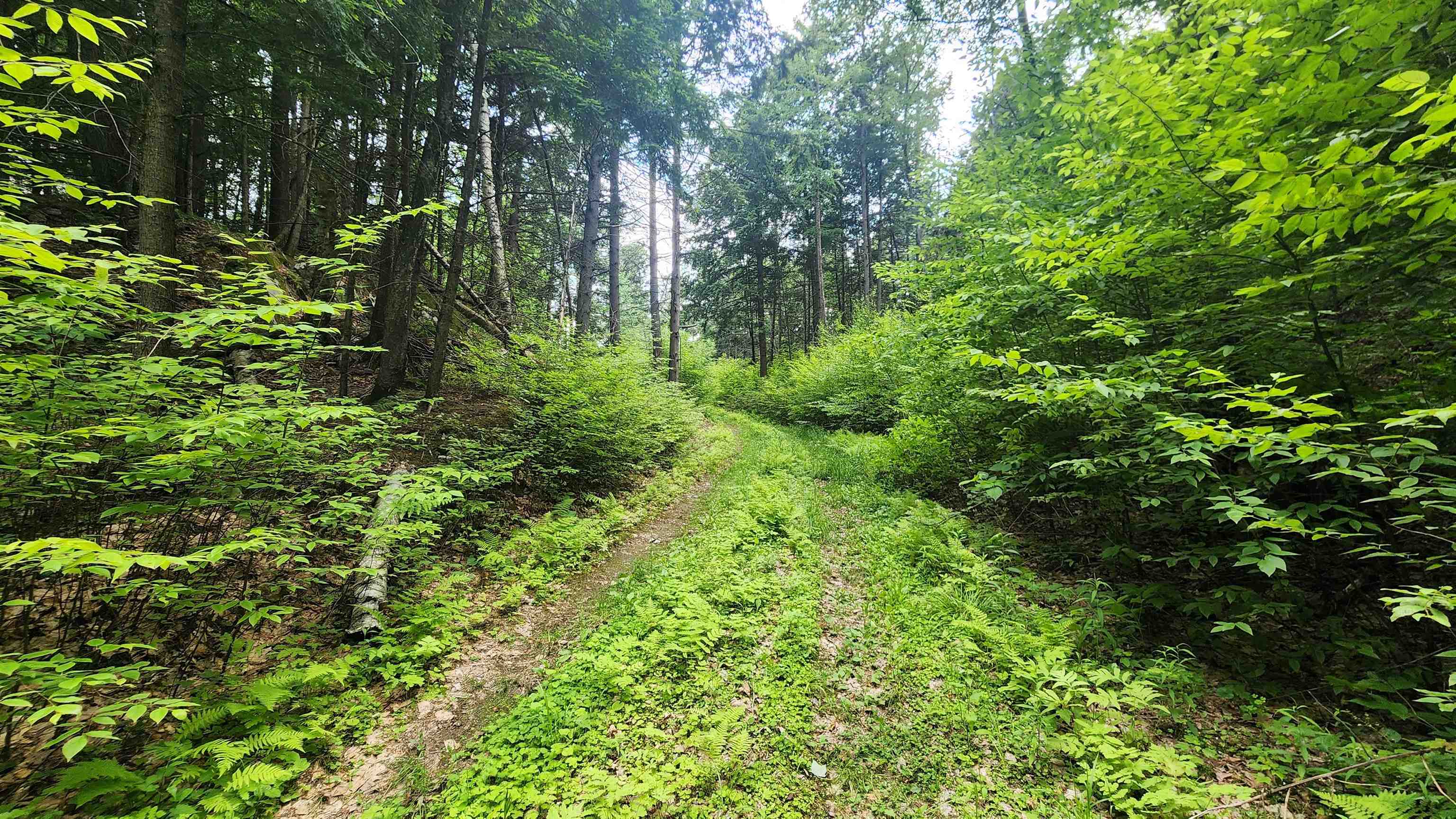 0 Spencer Hollow Road Springfield, VT 05156 - Photo 17 of 19