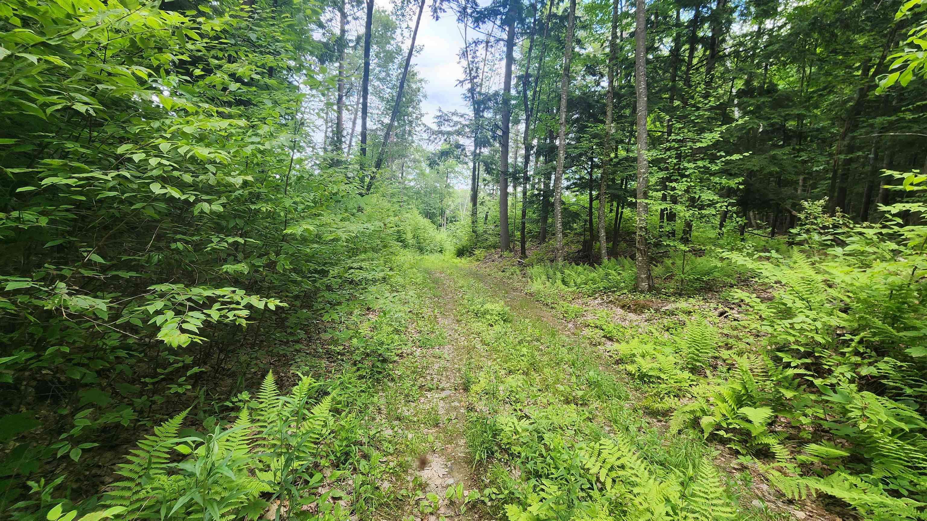 0 Spencer Hollow Road Springfield, VT 05156 - Photo 18 of 19