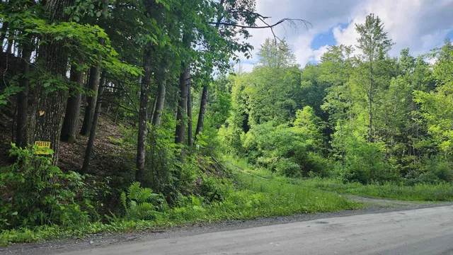 $224,000 | 0 Spencer Hollow Road, Springfield, VT 05156