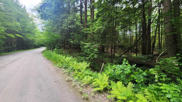 $224,000 | 0 Spencer Hollow Road, Springfield, VT 05156