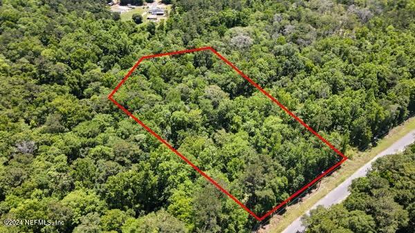 5291 Chicory Circle Middleburg, FL 32068 - Photo 3 of 5 a close up of a plant in a garden