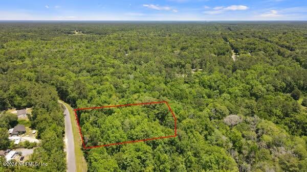 5291 Chicory Circle Middleburg, FL 32068 - Photo 4 of 5 a view of a city with lush green forest