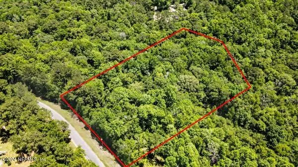 a view of a garden with a plant