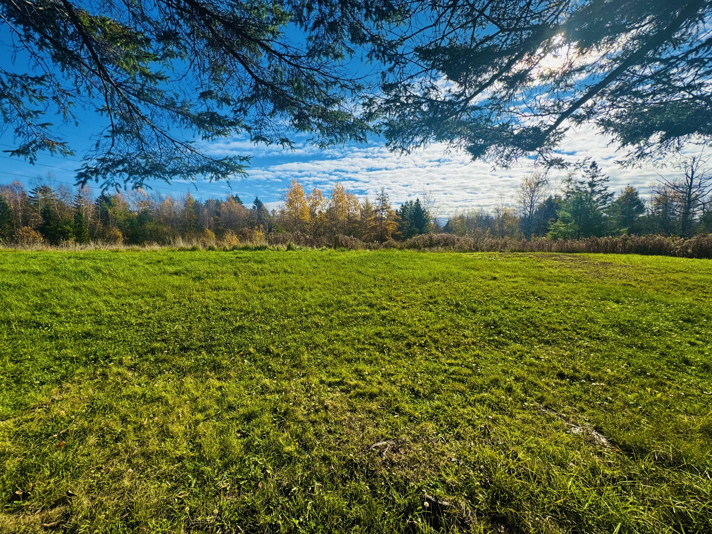 160 Lancaster Brook Road Glenburn, ME 04401 - Photo 15 of 85 IMG_2420