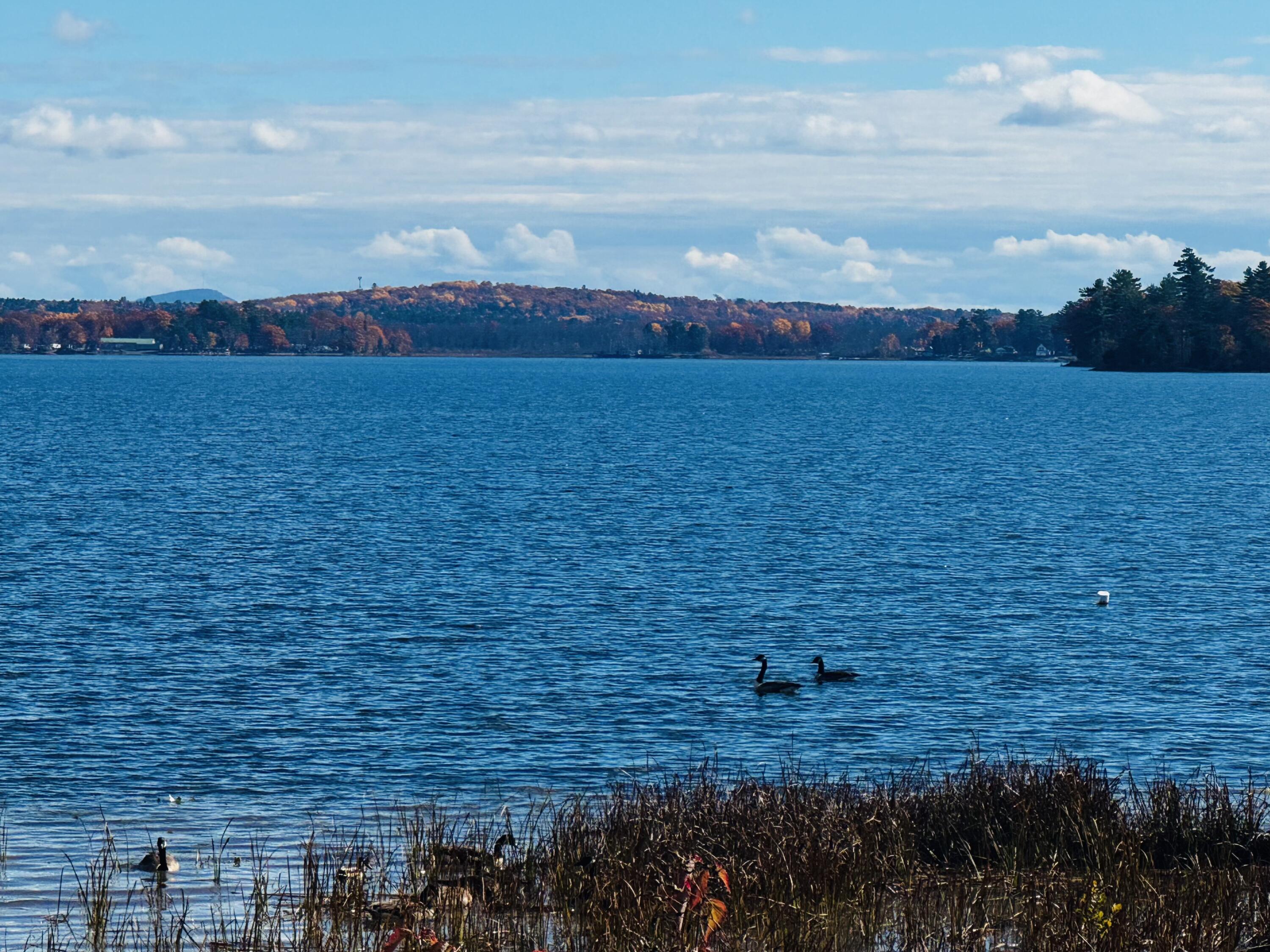 160 Lancaster Brook Road Glenburn, ME 04401 - Photo 79 of 85 IMG_2506