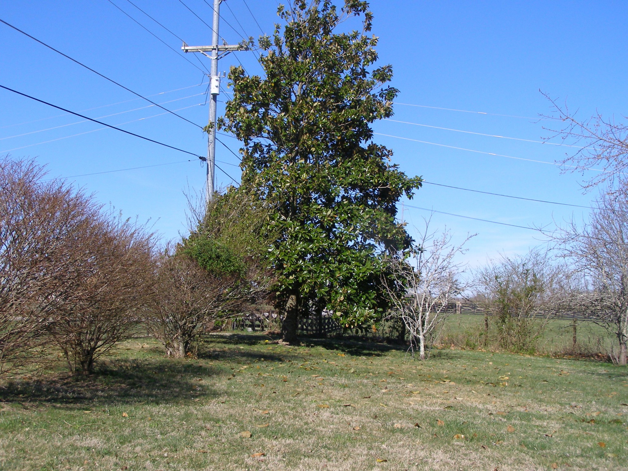 2781 Pigeon Ridge Road Crossville, TN 38555 - Photo 9 of 39 Gallery Image 9