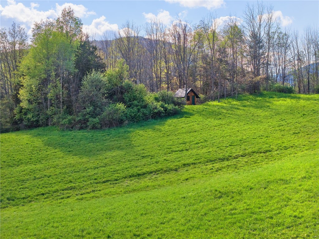 Westkill Road North Blenheim, NY 12131 - Photo 11 of 38
