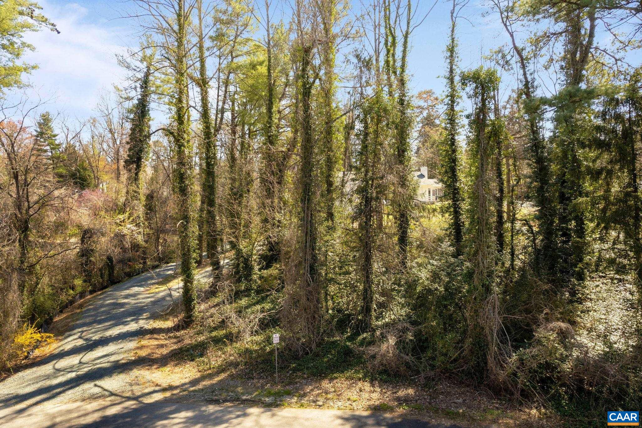 1404 Meadowbrook Road Charlottesville, VA 22903 - Photo 74 of 74 a view of a yard covered with trees
