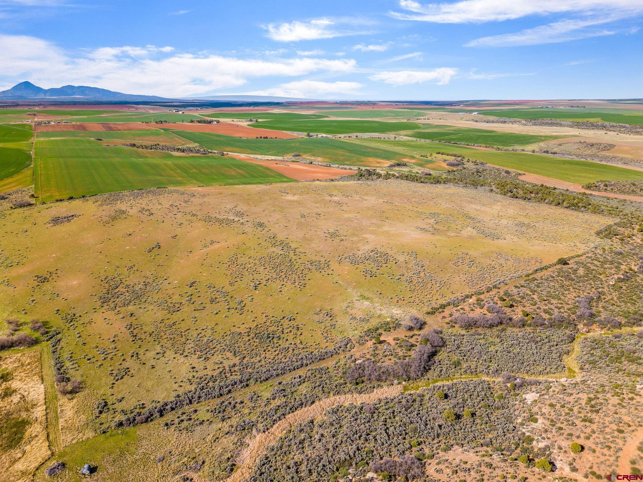 491 Pleasant View Pleasant View, CO 81331 - Photo 10 of 25