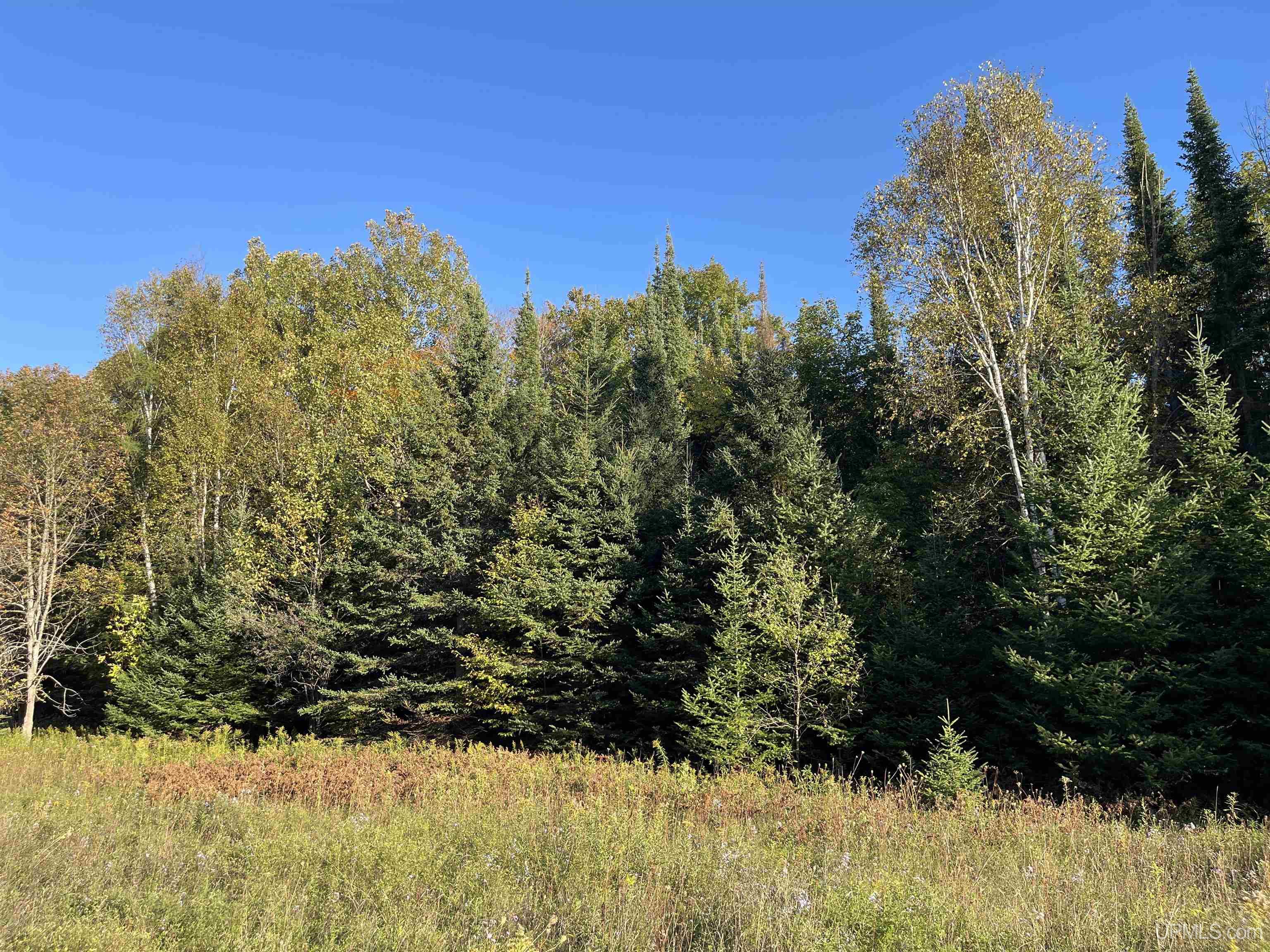 40-acres County Pit Road, Unit PARCEL #2 Manistique, MI 49854 - Photo 39 of 51 Gallery Image 39