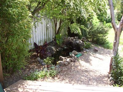 2195 Dutton Avenue Santa Rosa, CA 95407 - Photo 5 of 11 Koi Pond