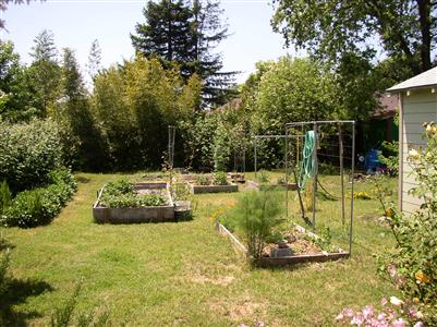 2195 Dutton Avenue Santa Rosa, CA 95407 - Photo 6 of 11 Lots of room for gardening.
