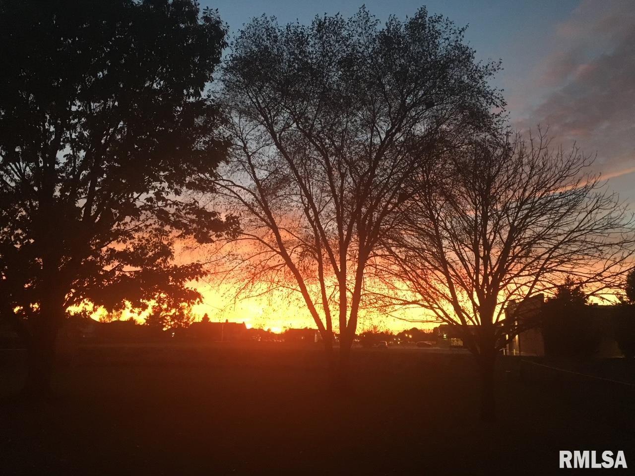 2605 Chase Drive Springfield, IL 62704 - Photo 22 of 23