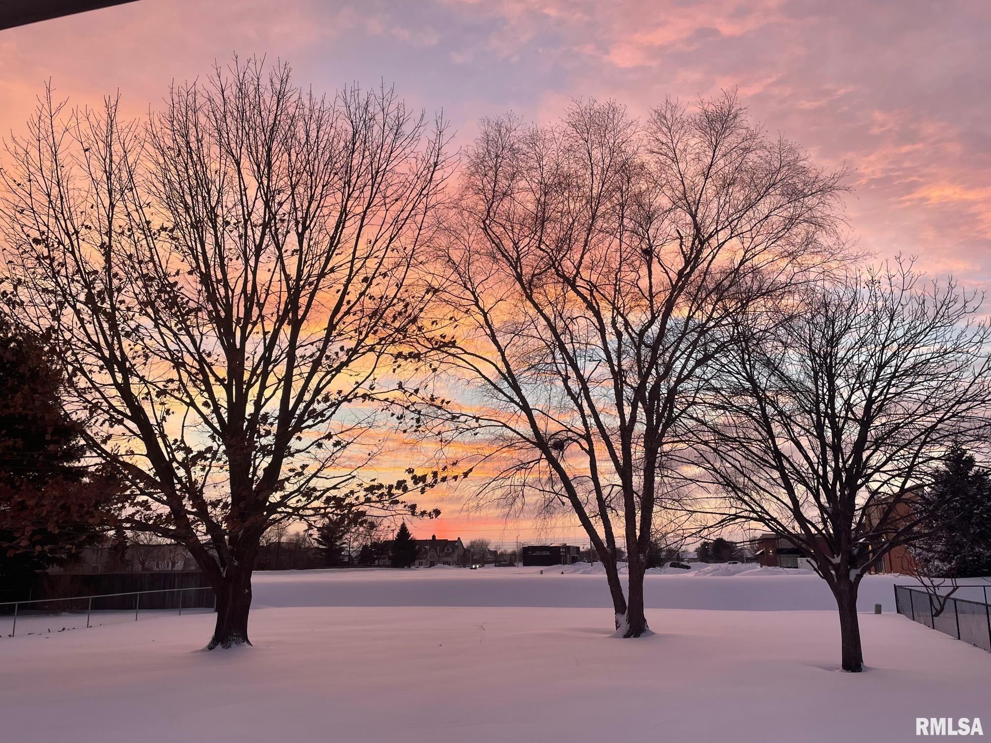 2605 Chase Drive Springfield, IL 62704 - Photo 23 of 23