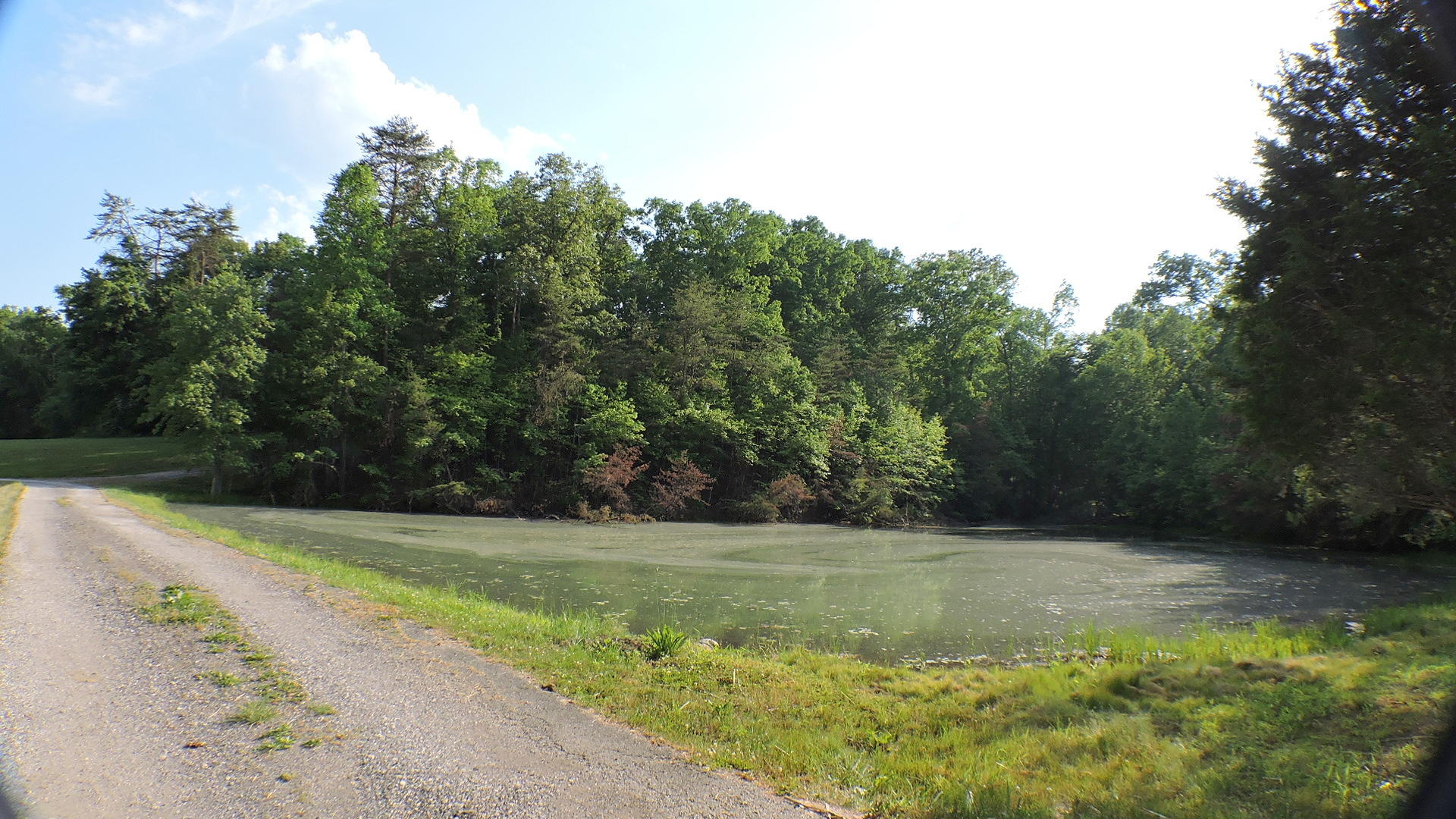 490 Oil Springs Road Winchester, KY 40391 - Photo 39 of 82 DSCN9662