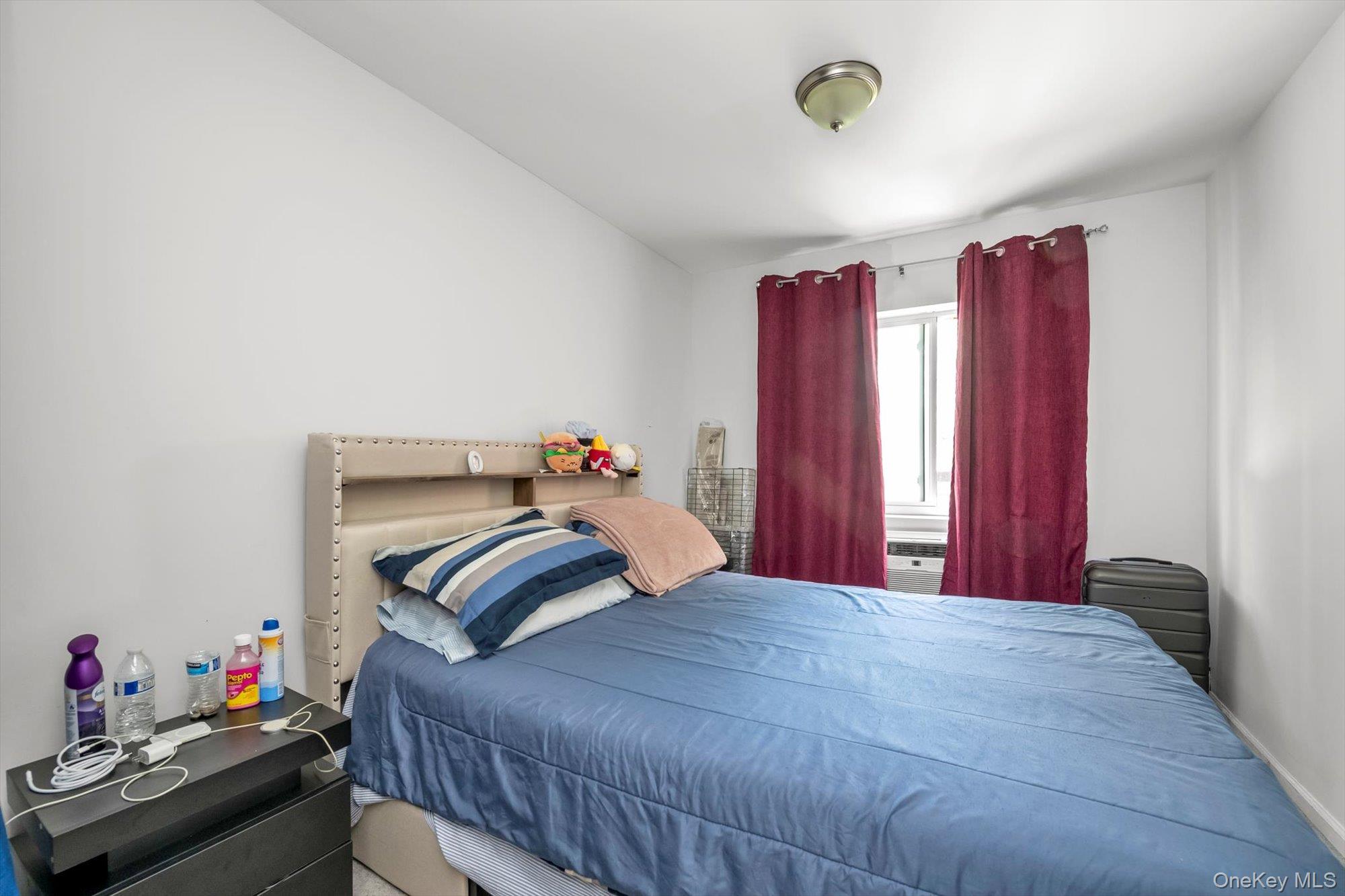 58-07 Van Cleef Street Queens, NY 11368 - Photo 5 of 13