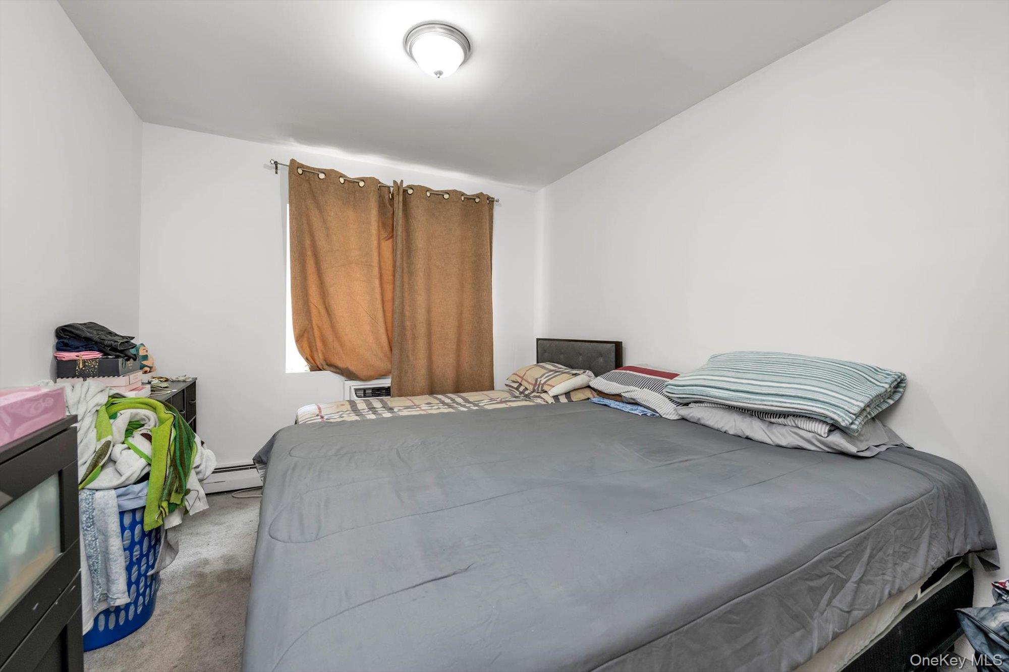 58-07 Van Cleef Street Queens, NY 11368 - Photo 6 of 13