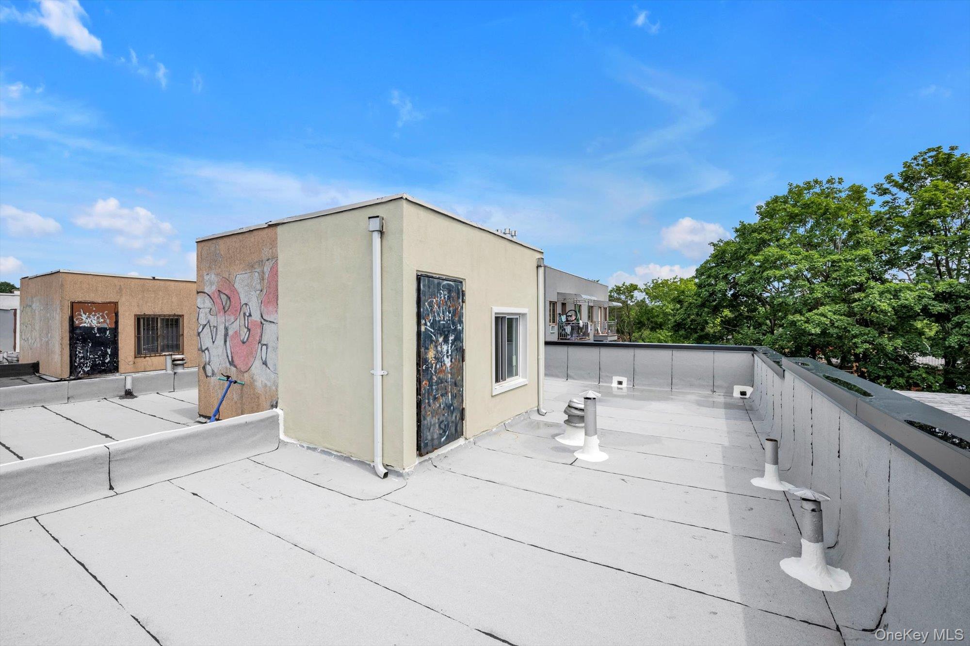 58-07 Van Cleef Street Queens, NY 11368 - Photo 10 of 13