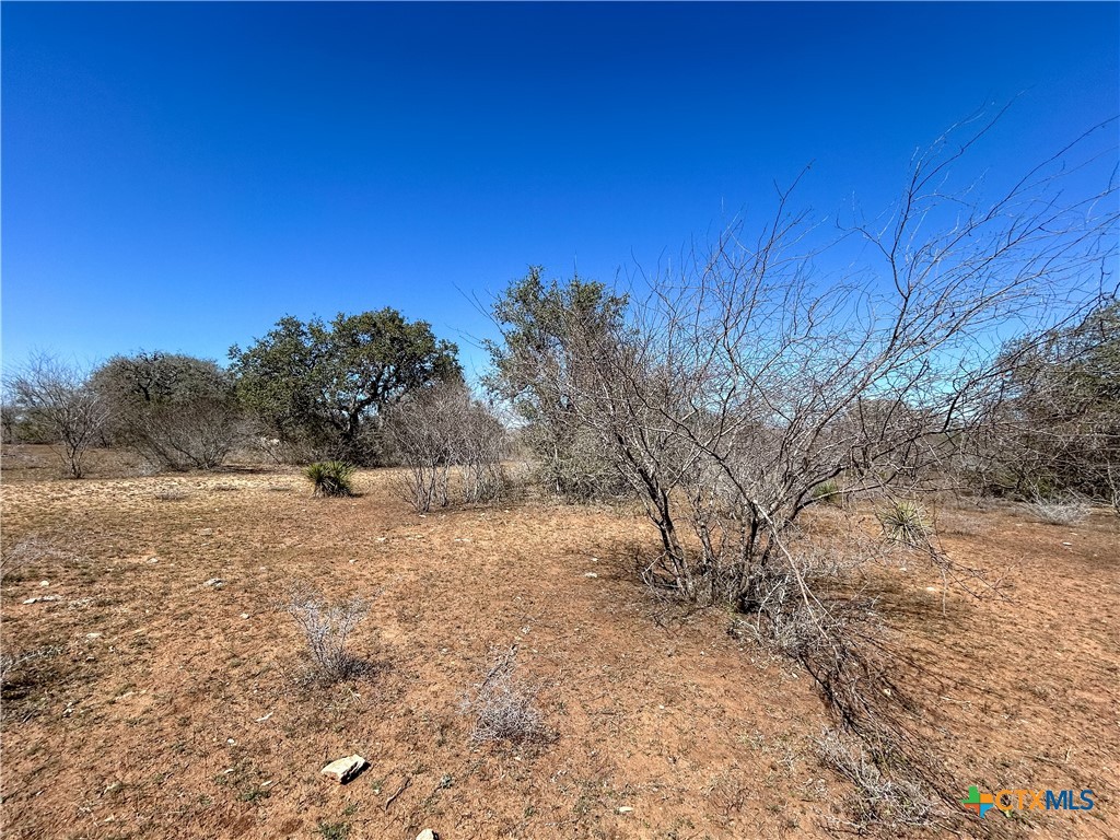1174 Charco Road Beeville, TX 78102 - Photo 40 of 42