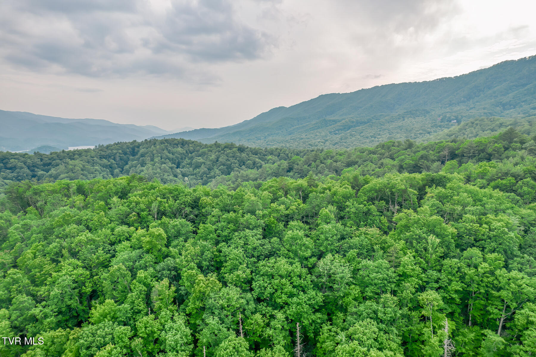 0 Hill Road, Unit 1 2 3 AND 4 Butler, TN 37640 - Photo 12 of 20 TBD Hill Rd-13