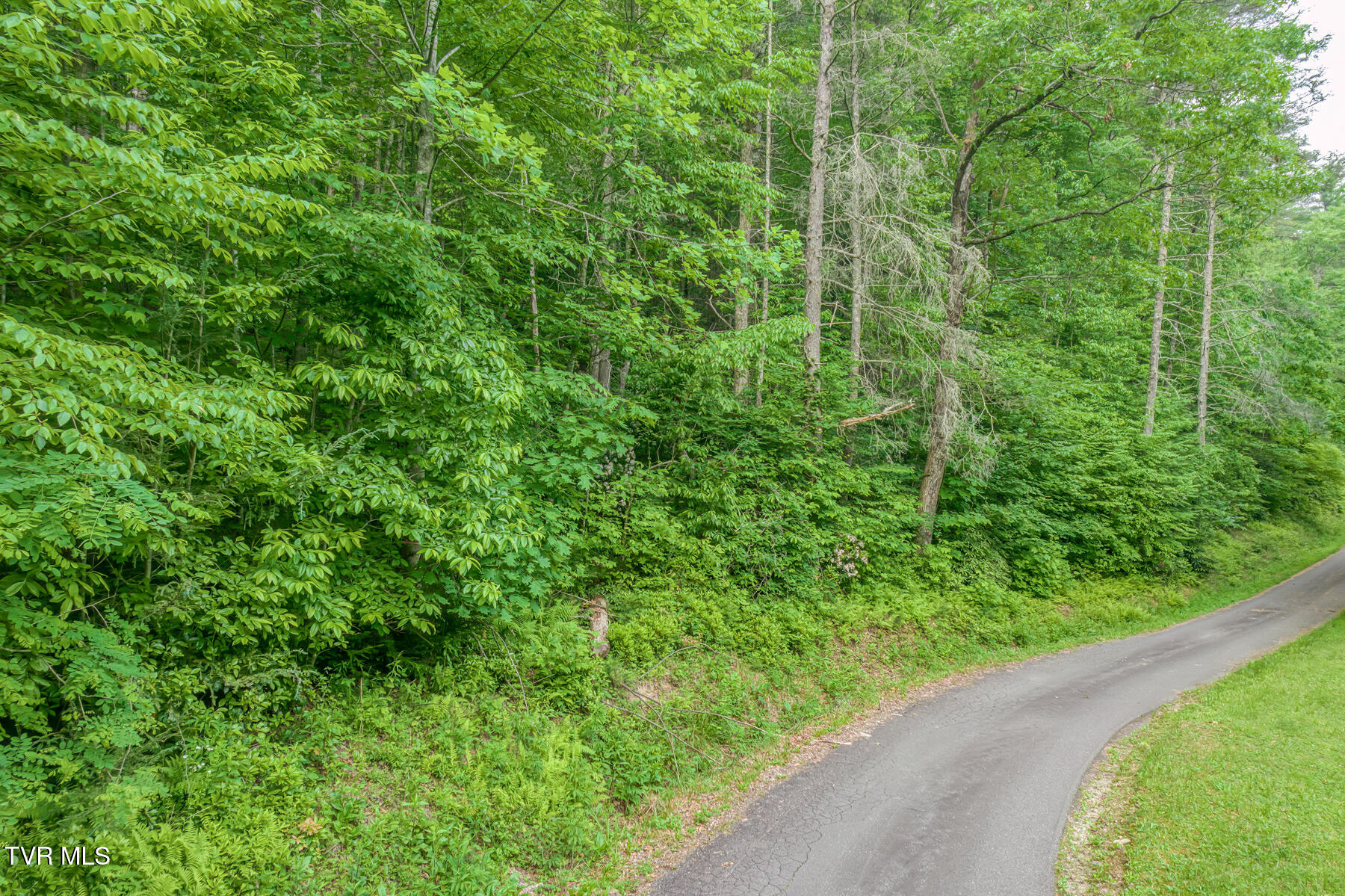 0 Hill Road, Unit 1 2 3 AND 4 Butler, TN 37640 - Photo 13 of 20 TBD Hill Rd-14 (1)