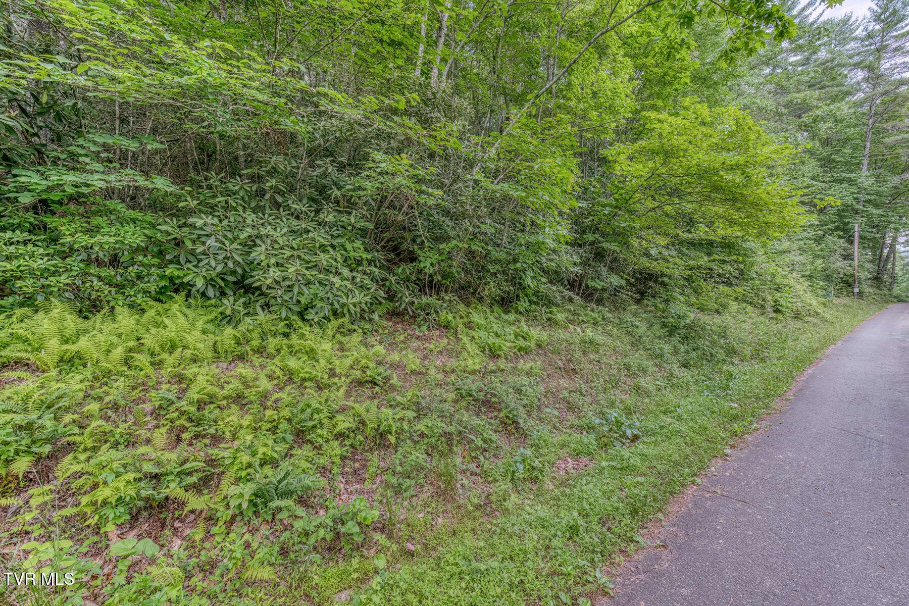 0 Hill Road, Unit 1 2 3 AND 4 Butler, TN 37640 - Photo 19 of 20 TBD Hill Rd-20 (2)