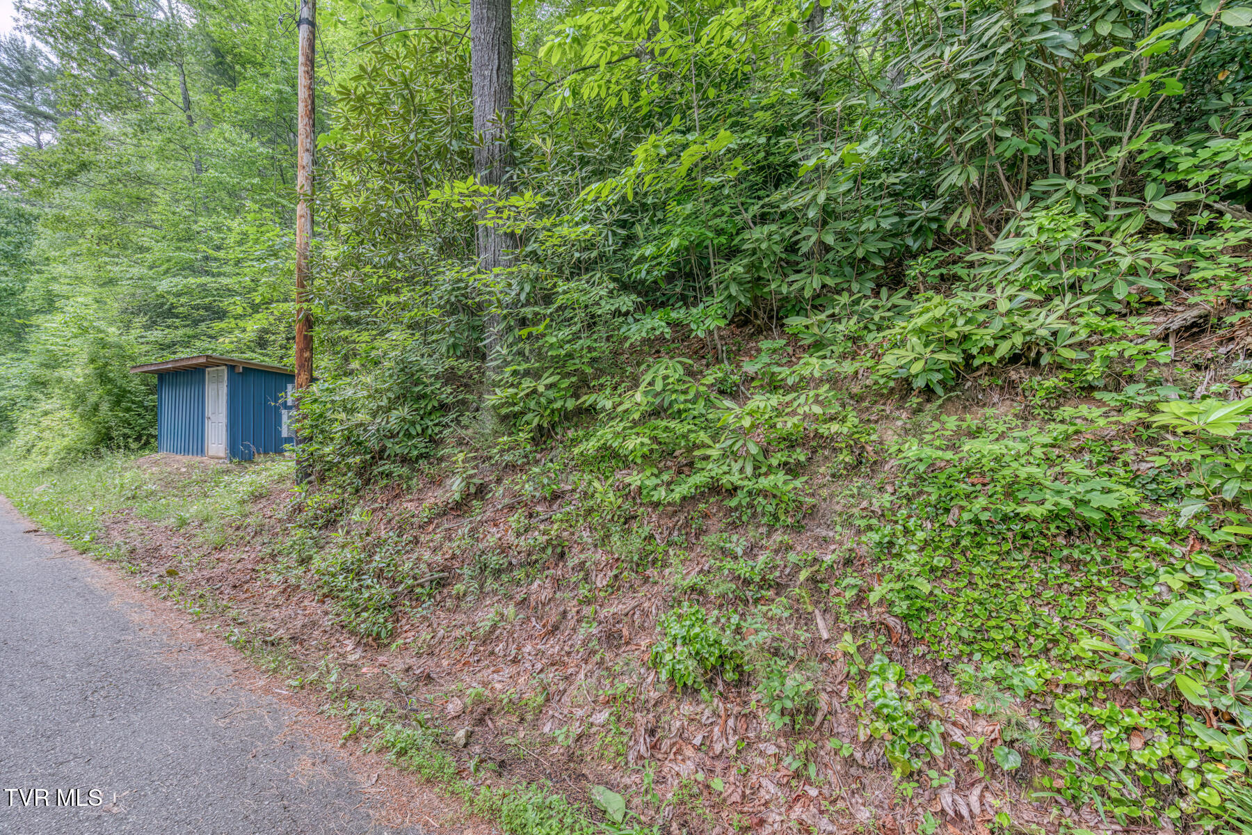 0 Hill Road, Unit 1 2 3 AND 4 Butler, TN 37640 - Photo 20 of 20 TBD Hill Rd-21 (1)