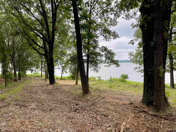 a view of outdoor space with deck and tree