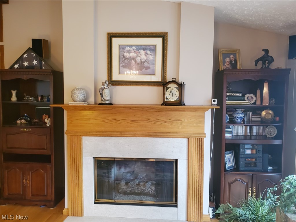 460 Aurora Hudson Road Aurora, OH 44202 - Photo 9 of 44 GAS LOGS. RECESSED AREA FOR BOOK CASES ON EACH SIDE.
