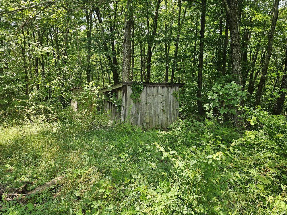5618 Ellison Ridge Road Jumping Branch, WV 25969 - Photo 19 of 39 Gallery Image 19
