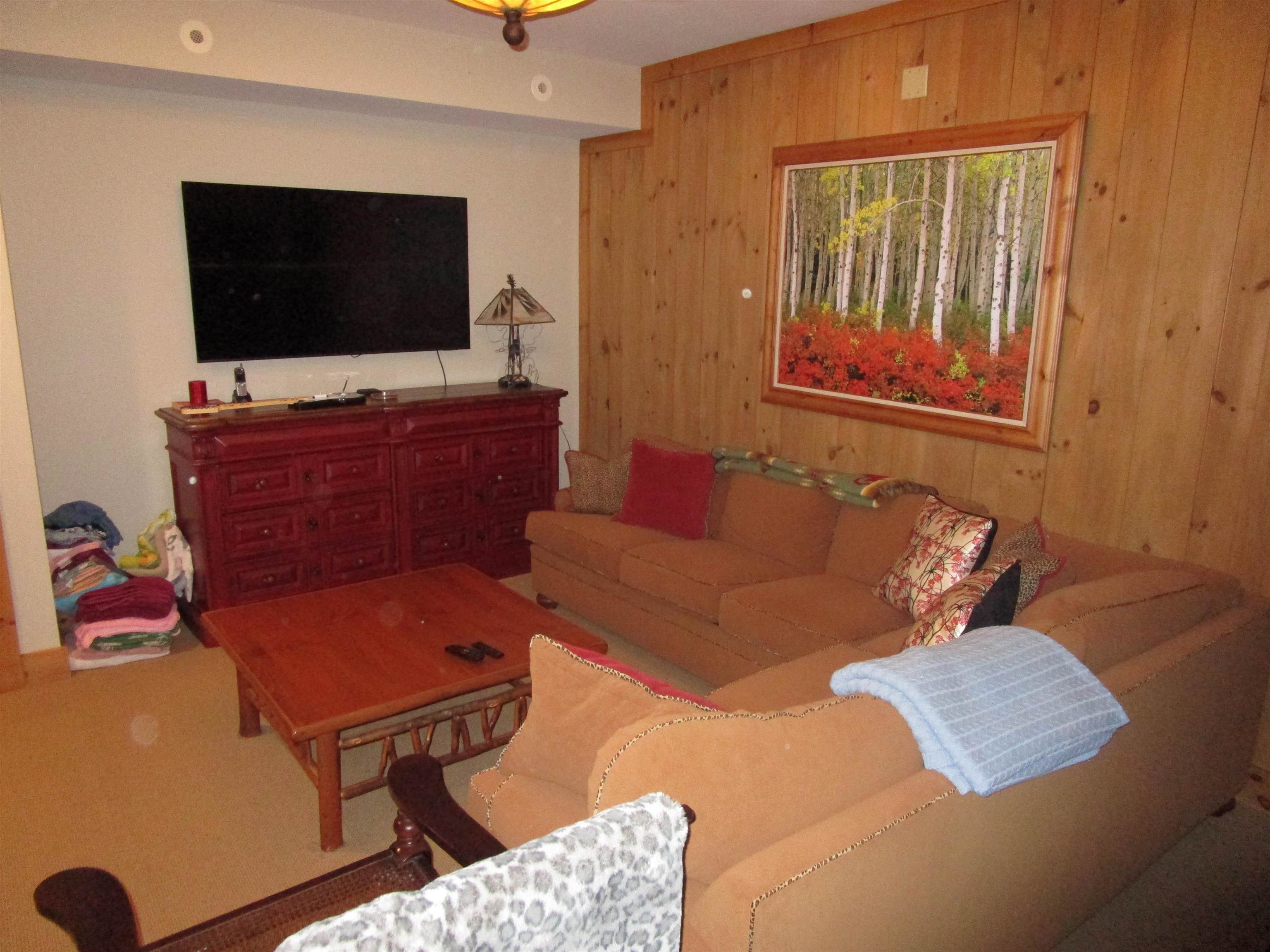 16 C Winterberry Heights Stratton, VT 05155 - Photo 16 of 19